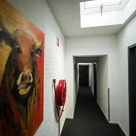 特鲁斯酒店 3* 克伊克